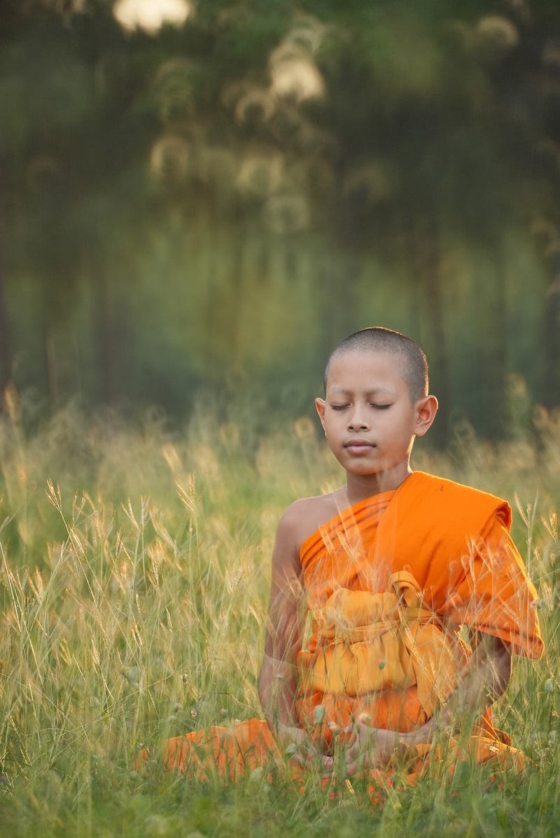 Meditation in Motion